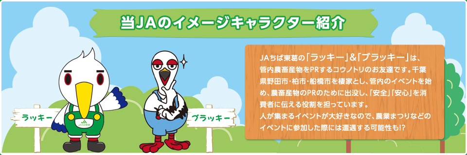 JAΥ᡼饯ξҲ