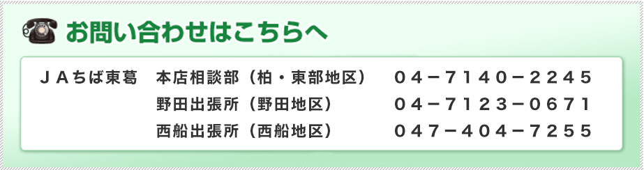 お問い合わせはこちらへ
