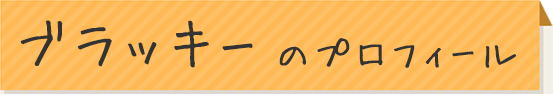 ブラッキーのプロフィール