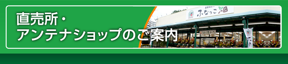 直売所・アンテナショップのご案内
